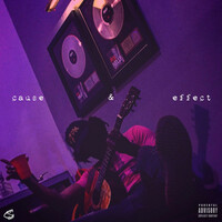 Thumbnail for the Devo D - Cause & Effect link, provided by host site