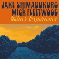 Thumbnail for the Jake Shimabukuro - Cause We've Ended As Lovers link, provided by host site