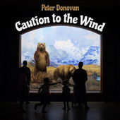 Thumbnail for the Peter Donovan - Caution to the Wind link, provided by host site