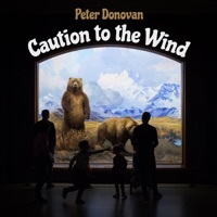 Thumbnail for the Peter Donovan - Caution to the Wind link, provided by host site