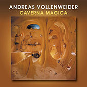 Thumbnail for the Andreas Vollenweider - Caverna Magica link, provided by host site