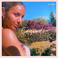 Thumbnail for the Cami - Cayendo link, provided by host site