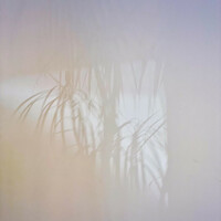 Image of Gnod linking to their artist page due to link from them being at the top of the main table on this page