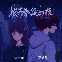 Thumbnail for the Veena - 被雨淋湿的夜 link, provided by host site