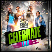 Thumbnail for the T.O.K - Celebrate link, provided by host site
