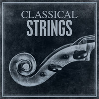 Thumbnail for the Franz Joseph Haydn - Cello Concerto In C, H.VIIb, No.1 : 2. Adagio link, provided by host site