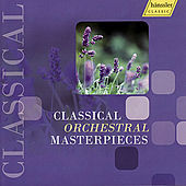 Thumbnail for the Peter Bruns - Cello Concerto in D Major, Hob. VIIb:2: III. Allegro link, provided by host site