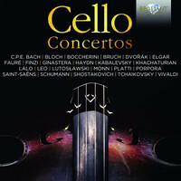 Thumbnail for the Antonio Vivaldi - Cello Concerto in D Minor, RV 405: III. Allegro link, provided by host site