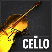 Thumbnail for the Aram Khachaturian - Cello Concerto in E Minor: I. Allegro moderato link, provided by host site