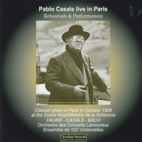Thumbnail for the Marchesini - Cello Suite No. 5 In C minor : Sarabande link, provided by host site