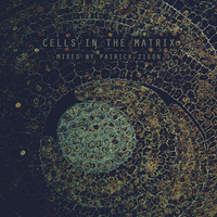 Thumbnail for the Various Artists - Cells In The Matrix - Mixed By Patrick Zigon link, provided by host site