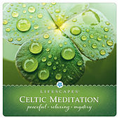 Thumbnail for the Dirk Freymuth - Celtic Meditation link, provided by host site