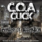 Thumbnail for the C.O.A. Click - Center of Attention link, provided by host site