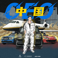 Thumbnail for the Z.Tao - 中國CEO link, provided by host site