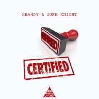 Thumbnail for the Shandy - Certified / Astral Gate link, provided by host site