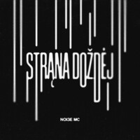 Thumbnail for the Noize MC - Страна дождей link, provided by host site