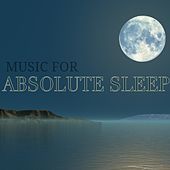 Thumbnail for the Music For Absolute Sleep - Chakra link, provided by host site
