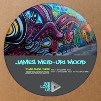 Thumbnail for the James Meid - Challenge Them (Ant LaRock Remix) link, provided by host site