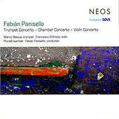 Thumbnail for the Plural Ensemble - Chamber Concerto: I. Vario link, provided by host site