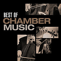 Thumbnail for the Antonio Vivaldi - Chamber Concerto in D Major, RV 93: III. Allegro (Arr. by Emilio Pujol) link, provided by host site