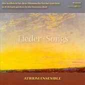 Thumbnail for the Atrium Ensemble - Chamber Music (German) - Schroeder, H. / Mendelssohn, Felix / Brahms, J. (As If Distant Gardens in the Heavens Died) link, provided by host site