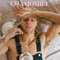 Thumbnail for the Crash - Chamomile link, provided by host site