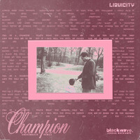Thumbnail for the Andromedik - champion (Andromedik Remix) link, provided by host site