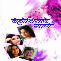 Thumbnail for the Devki Pandit - Chandnyachi Nasha link, provided by host site