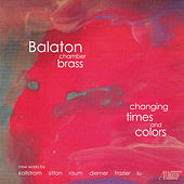 Thumbnail for the Rebecca Wilt - Changing Times and Colors: I. Allegro link, provided by host site