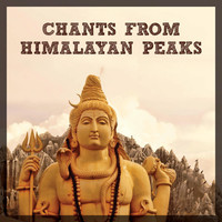 Thumbnail for the Raghunandan Panshikar - Chants from Himalayan Peaks link, provided by host site