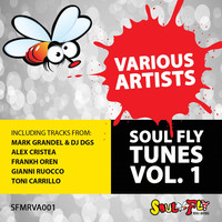 Thumbnail for the Alex Cristea - Charles On Fire - Original Mix link, provided by host site