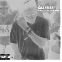 Thumbnail for the p-rallel - Charmer link, provided by host site