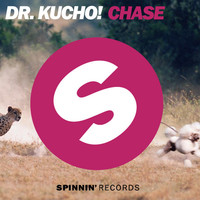 Thumbnail for the Dr. Kucho! - Chase link, provided by host site
