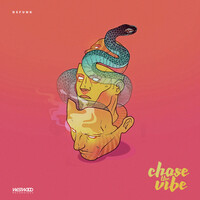 Thumbnail for the Defunk - Chase The Vibe link, provided by host site