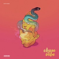 Thumbnail for the Defunk - Chase the Vibe link, provided by host site