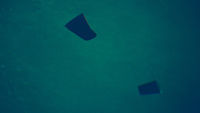 Thumbnail for the Bahari - Chasers link, provided by host site