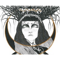 Thumbnail for the Frankmusik - Chasing Shadows link, provided by host site
