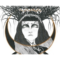 Thumbnail for the Frankmusik - Chasing Shadows link, provided by host site
