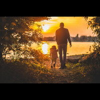 Thumbnail for the Peter Knight - Chasing Wishes in the Sun link, provided by host site
