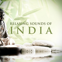 Thumbnail for the Bickram Ghosh - Chaurukeshi link, provided by host site