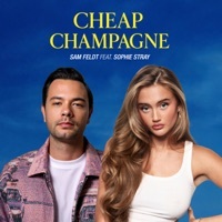 Thumbnail for the Sam Feldt - Cheap Champagne link, provided by host site