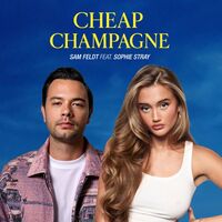 Thumbnail for the Sam Feldt - Cheap Champagne link, provided by host site