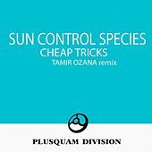 Image of Sun Control Species linking to their artist page due to link from them being at the top of the main table on this page