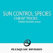 Thumbnail for the Sun Control Species - Cheap Tricks Tamir Ozana Remix link, provided by host site