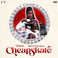 Thumbnail for the Tashan - Cheapskate link, provided by host site