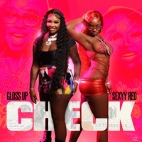 Thumbnail for the Gloss Up - Check link, provided by host site