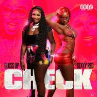 Thumbnail for the Gloss Up - Check link, provided by host site