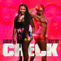 Thumbnail for the Gloss Up - Check link, provided by host site