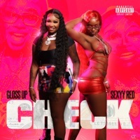 Thumbnail for the Gloss Up - Check link, provided by host site