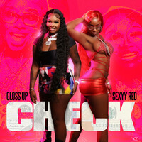 Thumbnail for the Gloss Up - Check link, provided by host site